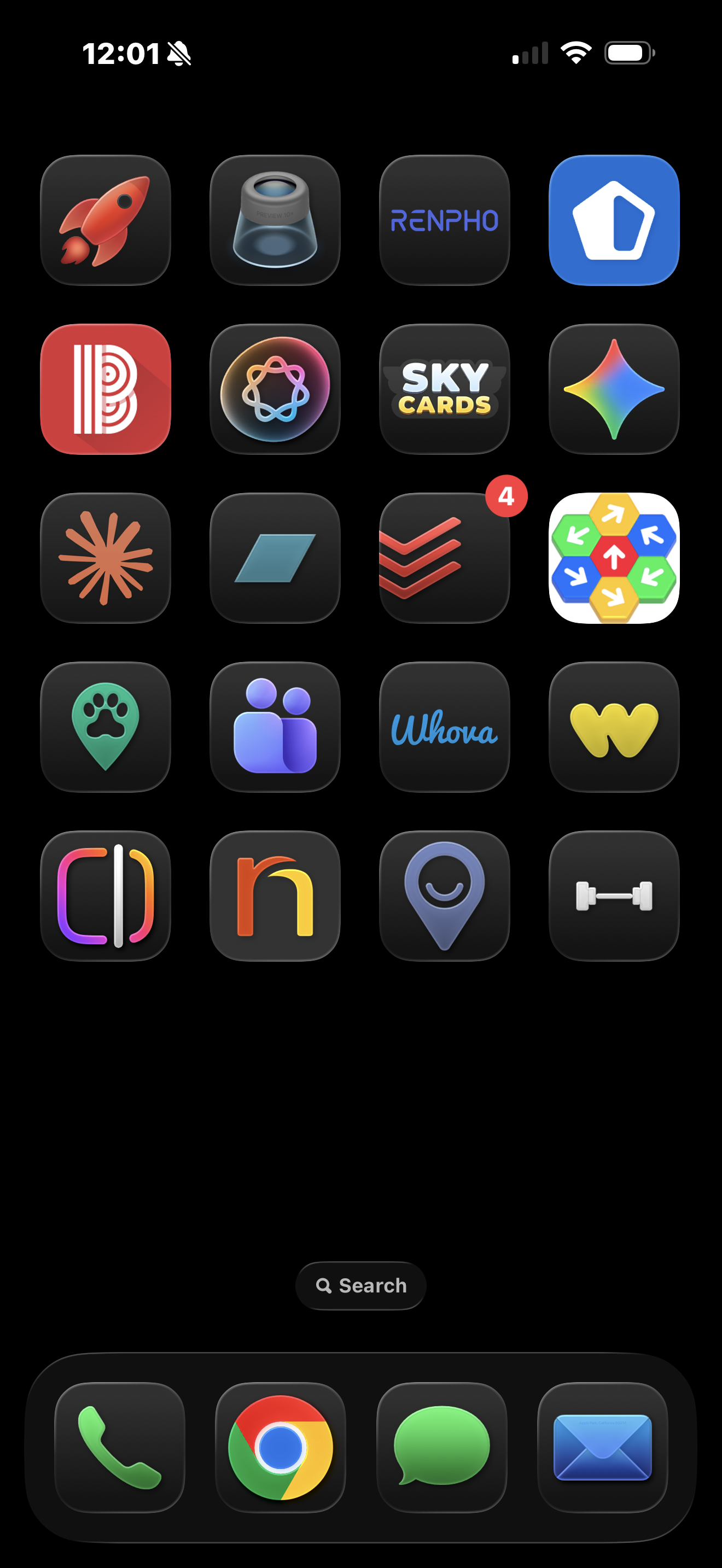 App installed on iPhone home screen