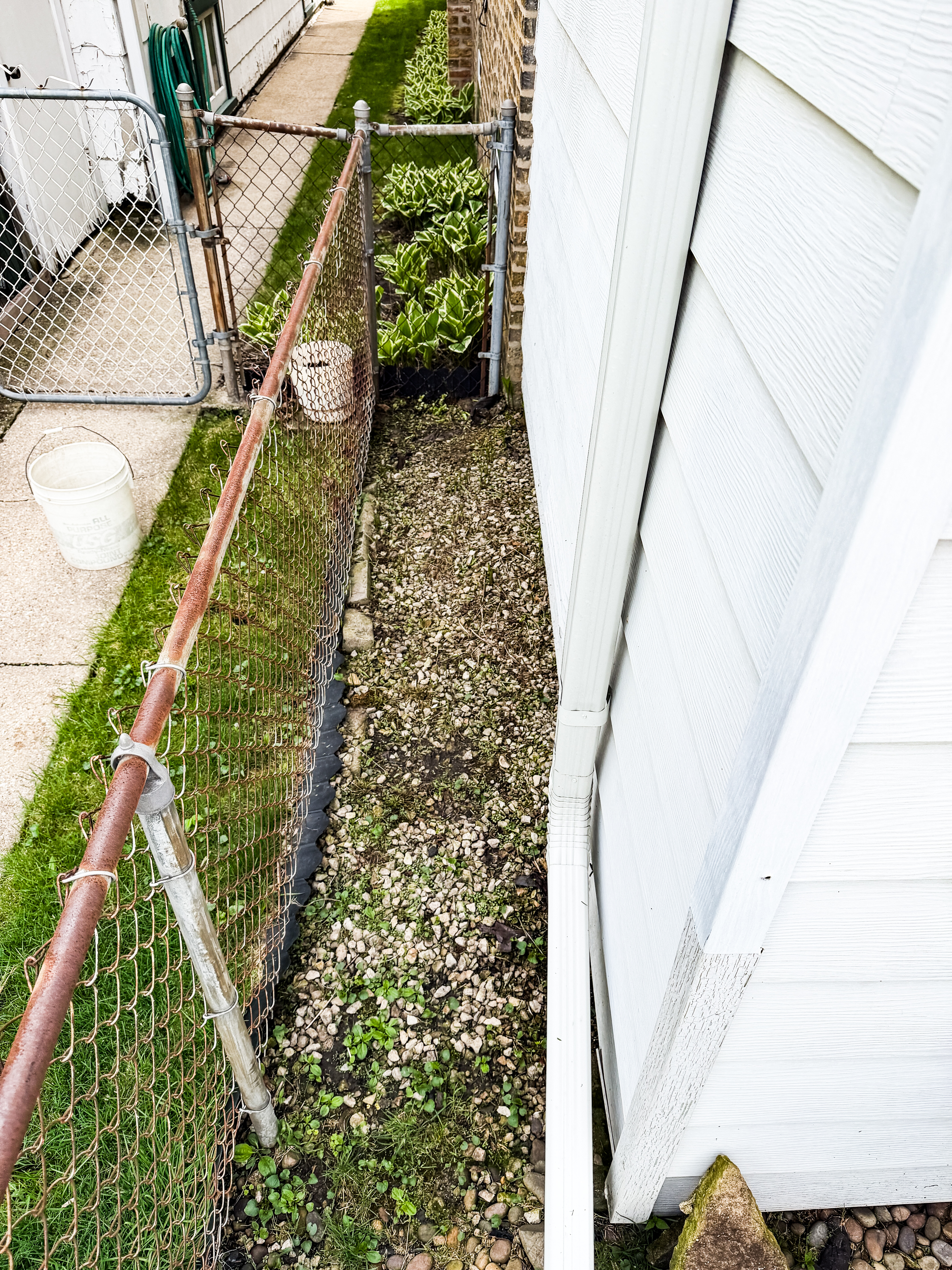 [Describe this image]