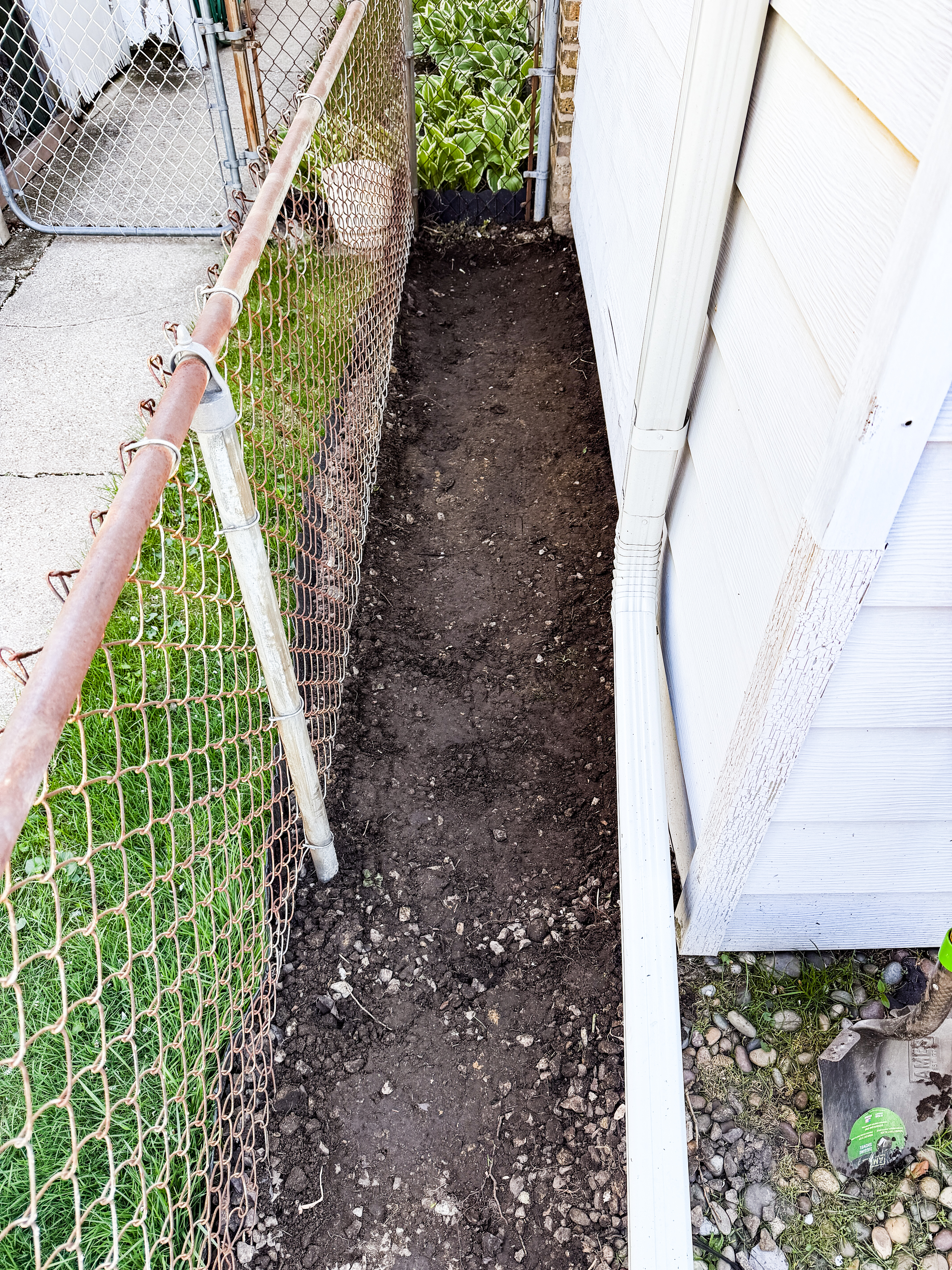 [Describe this image]